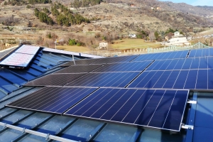 Whatsapp Image 2024 01 09 At 08 28 50 3 1