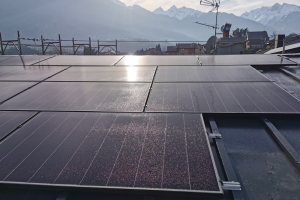 Whatsapp Image 2024 01 09 At 08 28 50